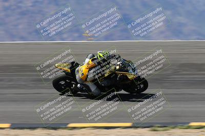 media/Apr-05-2024-Apex Assassins-CVMA Friday Practice (Fri) [[ee2ef04f2b]]/3-Racer 2/Session 3 (Bowl Speed Pans)/